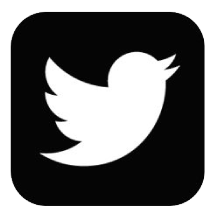 Twitter icon
